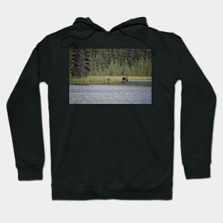 WGC_1359 Hoodie